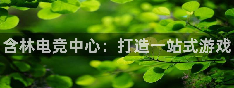 易游电竞官网：含林电竞中心：打造一站式游戏