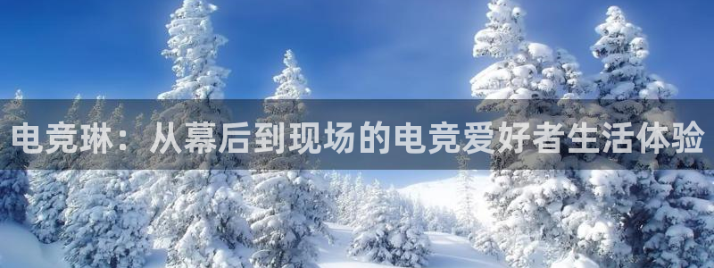 易游电竞官网：电竞琳：从幕后到现场的电竞爱好者生活体验