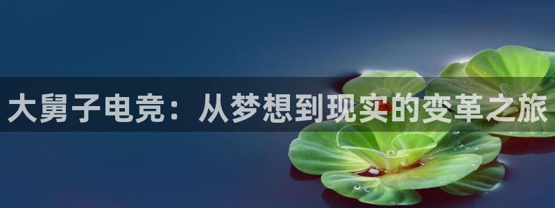 易游电竞：大舅子电竞：从梦想到现实的变革之旅