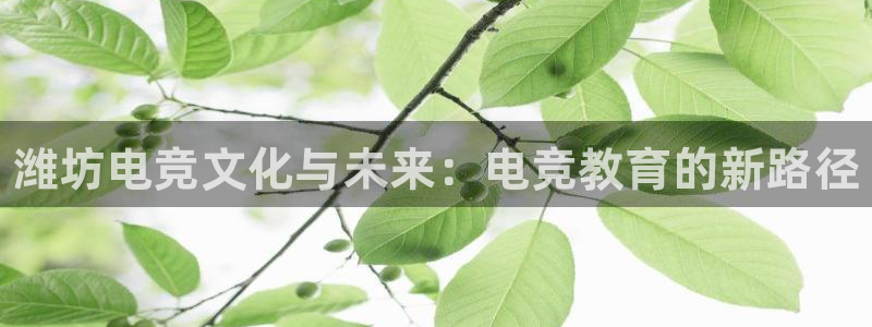 易游电竞：潍坊电竞文化与未来：电竞教育的新路径