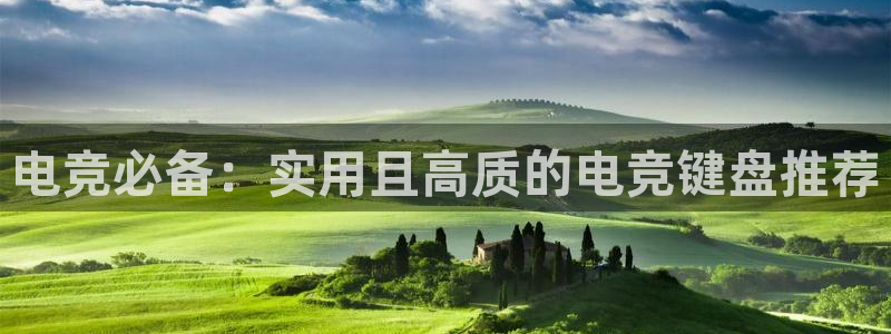 易游电竞官网：电竞必备：实用且高质的电竞键盘推荐
