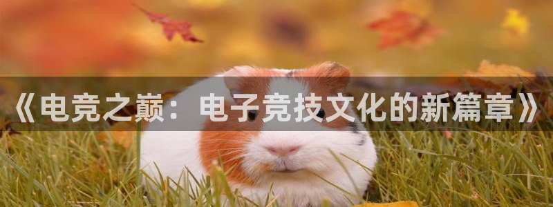 易游电竞官网：《电竞之巅：电子竞技文化的新篇章》