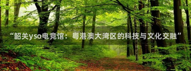 易游电竞官网：“韶关yso电竞馆：粤港澳大湾区的科技与文化交融”