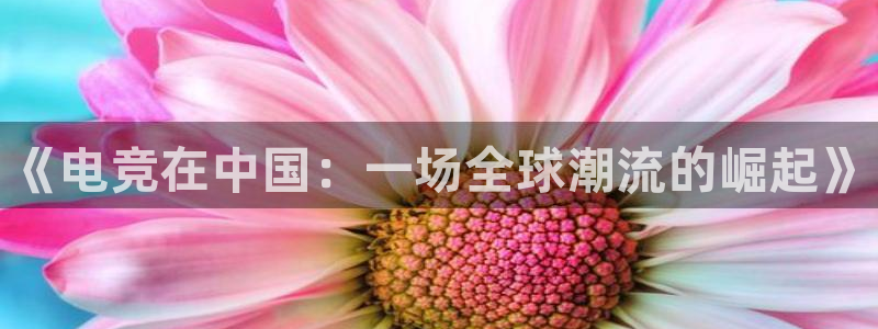 易游电竞：《电竞在中国：一场全球潮流的崛起》