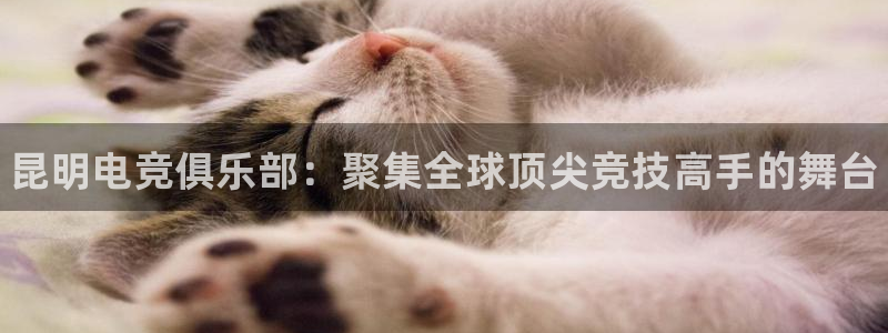 易游电竞官网：昆明电竞俱乐部：聚集全球顶尖竞技高手的舞台