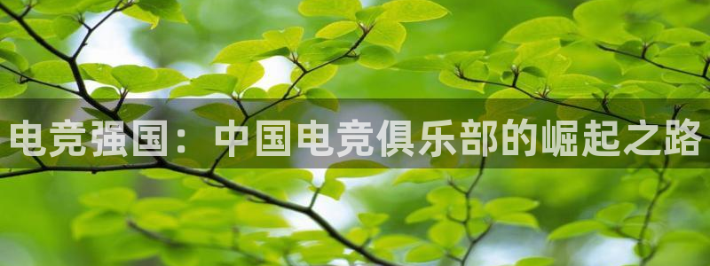 易游电竞：电竞强国：中国电竞俱乐部的崛起之路