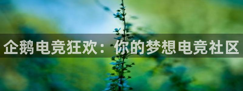 易游电竞官网：企鹅电竞狂欢：你的梦想电竞社区