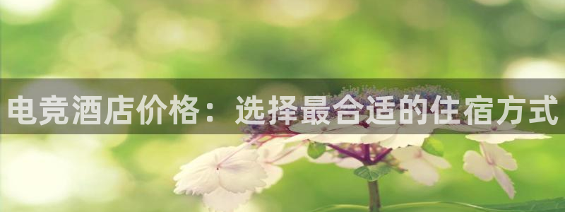 易游电竞：电竞酒店价格：选择最合适的住宿方式