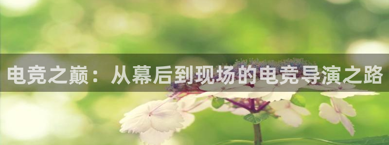 易游电竞：电竞之巅：从幕后到现场的电竞导演之路