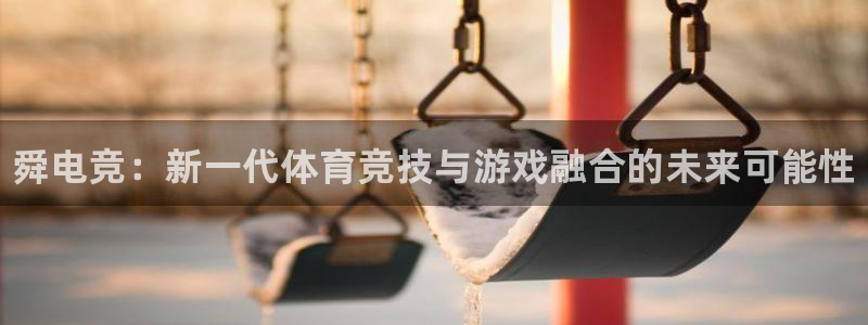 易游电竞：舜电竞：新一代体育竞技与游戏融合的未来可能性