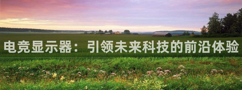 易游电竞官网：电竞显示器：引领未来科技的前沿体验