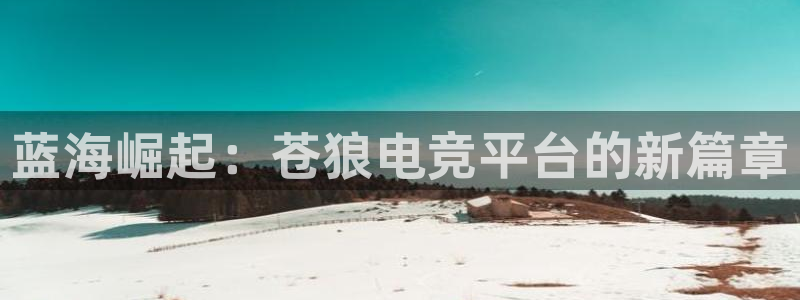 易游电竞官网：蓝海崛起：苍狼电竞平台的新篇章