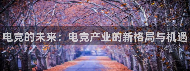 易游电竞：电竞的未来：电竞产业的新格局与机遇