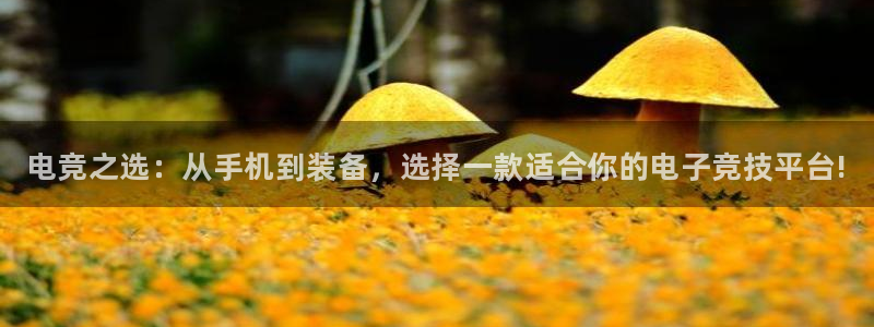 易游电竞官网：电竞之选：从手机到装备，选择一款适合你的电子竞技平台!