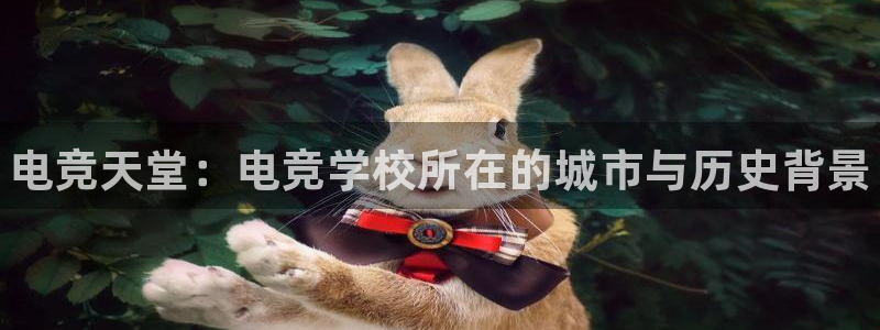 易游电竞官网：电竞天堂：电竞学校所在的城市与历史背景