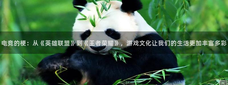 易游电竞官网：电竞的梗：从《英雄联盟》到《王者荣耀》，游戏文化让我们的生活更加丰富多彩