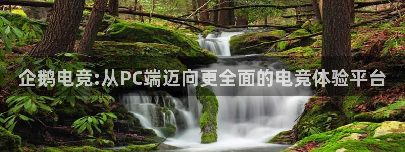 易游电竞官网：企鹅电竞:从PC端迈向更全面的电竞体验平台