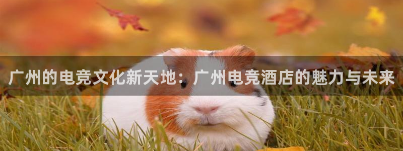 易游电竞：广州的电竞文化新天地：广州电竞酒店的魅力与未来