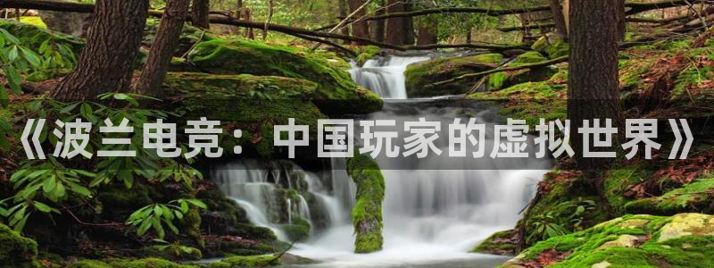易游电竞：《波兰电竞：中国玩家的虚拟世界》