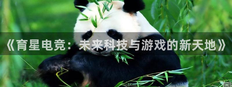 易游电竞官网：《育星电竞：未来科技与游戏的新天地》