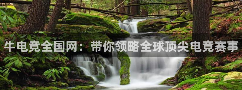 易游电竞官网：牛电竞全国网：带你领略全球顶尖电竞赛事
