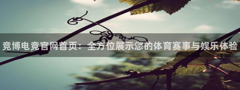 易游电竞：竞博电竞官网首页：全方位展示您的体育赛事与娱乐体验