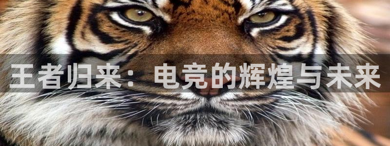 易游电竞官网：王者归来：电竞的辉煌与未来
