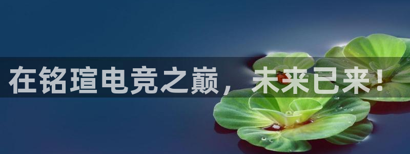 易游电竞官网：在铭瑄电竞之巅，未来已来！