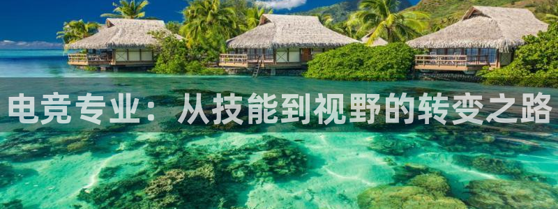 易游电竞：电竞专业：从技能到视野的转变之路