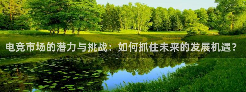 易游电竞官网：电竞市场的潜力与挑战：如何抓住未来的发展机遇？