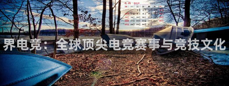 易游电竞：界电竞：全球顶尖电竞赛事与竞技文化