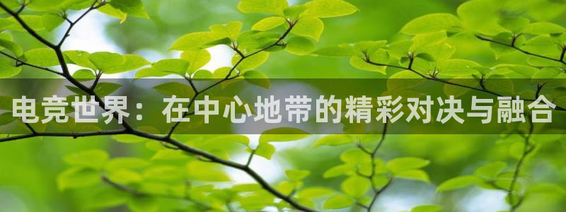 易游电竞官网：电竞世界：在中心地带的精彩对决与融合