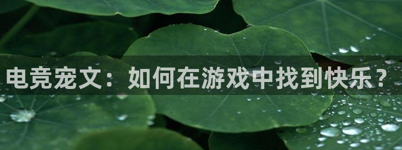 易游电竞：电竞宠文：如何在游戏中找到快乐？