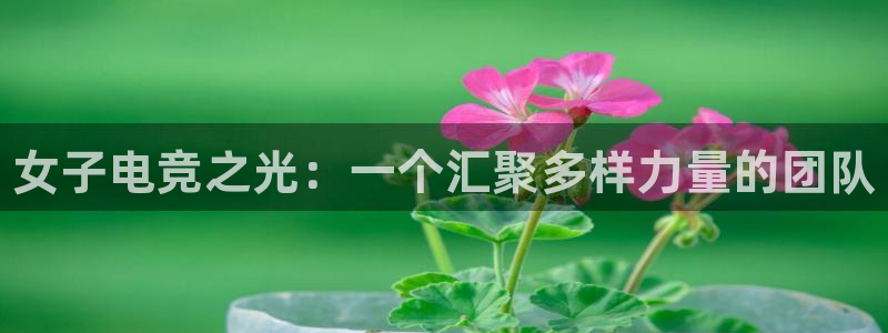 易游电竞：女子电竞之光：一个汇聚多样力量的团队