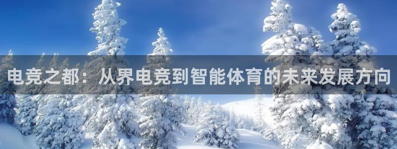 易游电竞官网：电竞之都：从界电竞到智能体育的未来发展方向