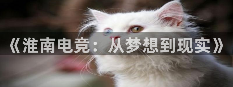 易游电竞：《淮南电竞：从梦想到现实》