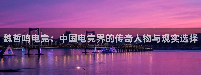 易游电竞官网：魏哲鸣电竞：中国电竞界的传奇人物与现实选择
