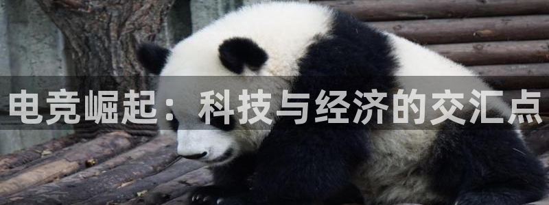 易游电竞官网：电竞崛起：科技与经济的交汇点