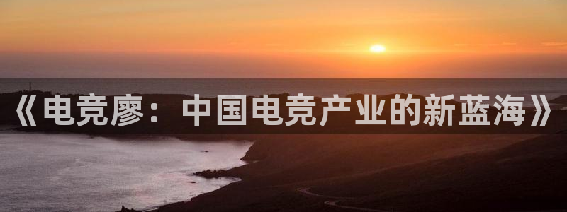 易游电竞官网：《电竞廖：中国电竞产业的新蓝海》