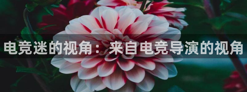 易游电竞：电竞迷的视角：来自电竞导演的视角