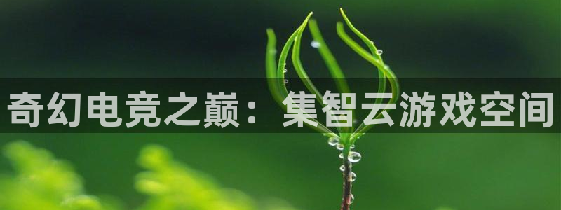 易游电竞官网：奇幻电竞之巅：集智云游戏空间