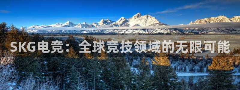易游电竞：SKG电竞：全球竞技领域的无限可能
