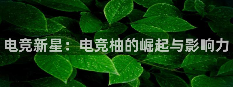 易游电竞：电竞新星：电竞柚的崛起与影响力