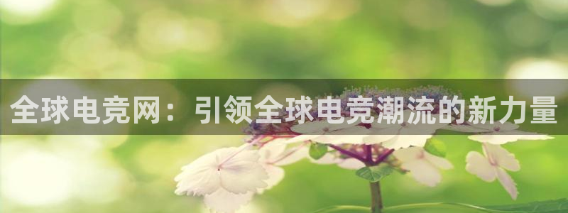 易游电竞官网：全球电竞网：引领全球电竞潮流的新力量