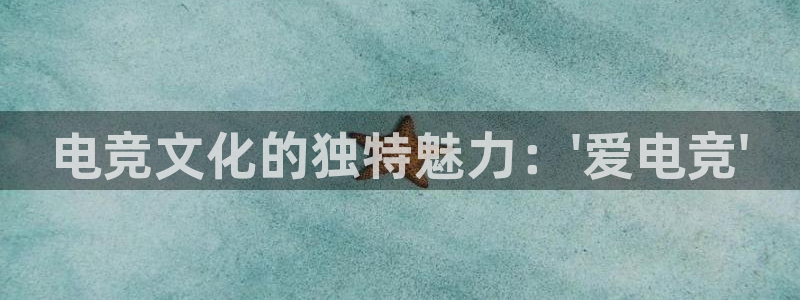 易游电竞官网：电竞文化的独特魅力：\'爱电竞\'