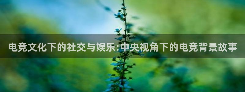 易游电竞：电竞文化下的社交与娱乐:中央视角下的电竞背景故事