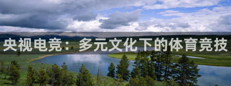 易游电竞官网：央视电竞：多元文化下的体育竞技