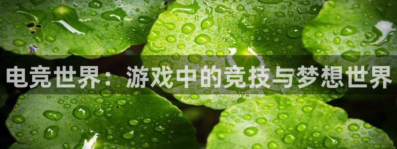 易游电竞：电竞世界：游戏中的竞技与梦想世界