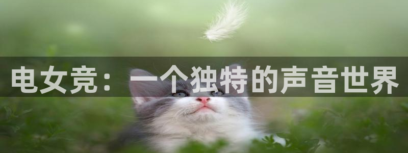 易游电竞：电女竞：一个独特的声音世界