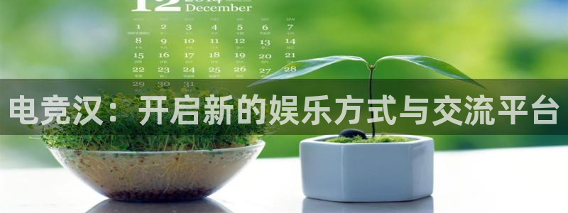 易游电竞：电竞汉：开启新的娱乐方式与交流平台